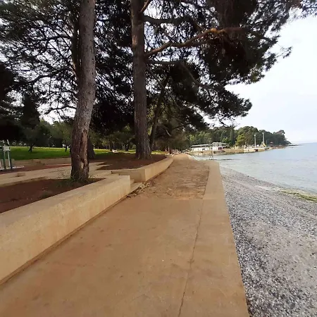 Lägenhet In Porec/istrien 31238